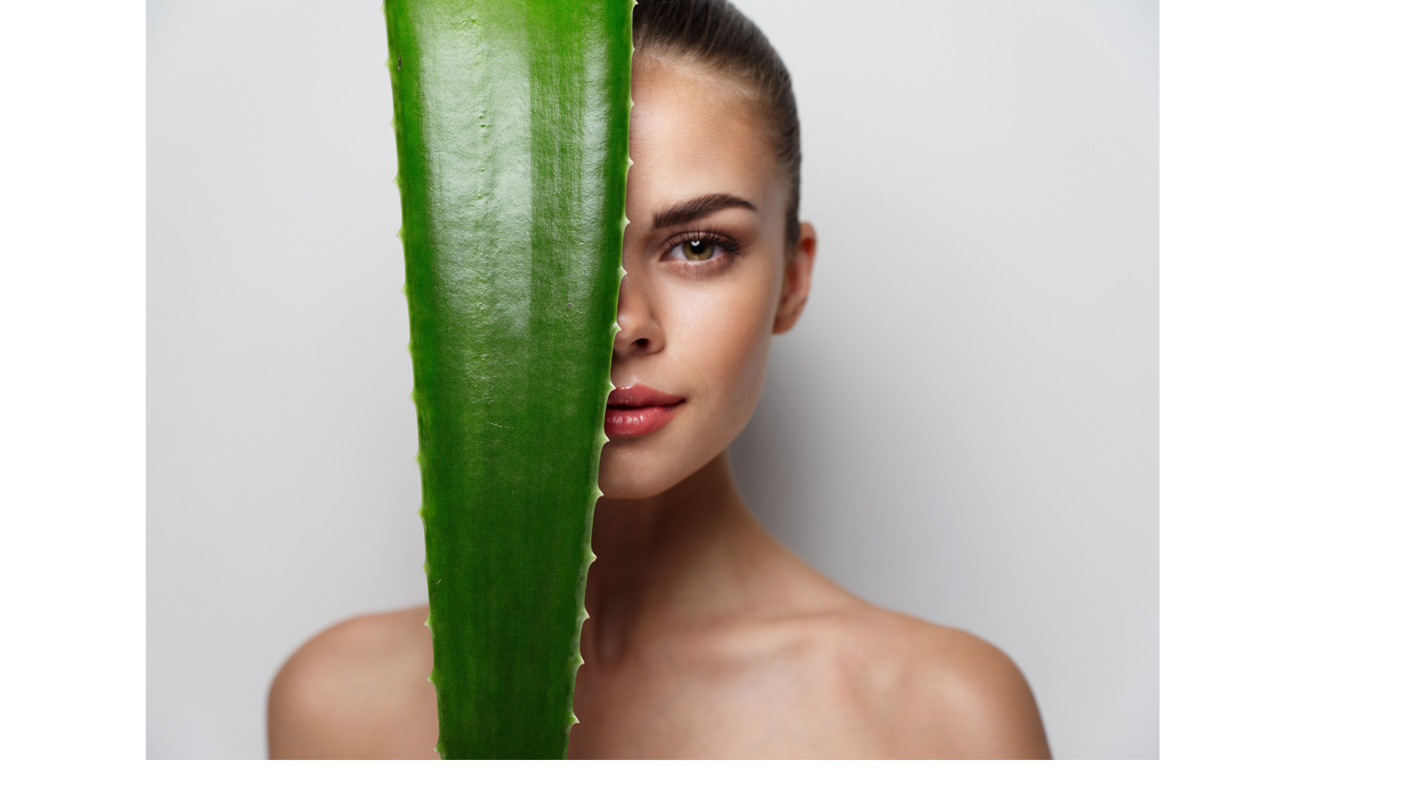 DISCOVER THE BENEFITS OF ALOE VERA FOR YOUR SKIN - Immense Naturals